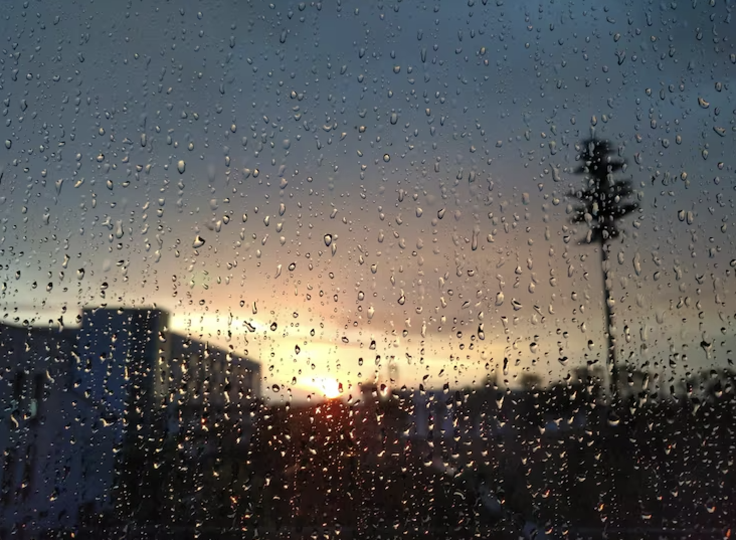 Screenshot 2025 12 04 At 6.51.55 Pm